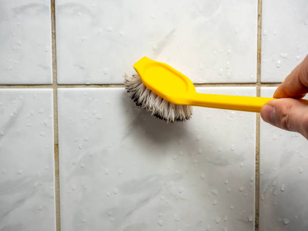 Best Toxic Mold Removal  in Morrisonvle, IL