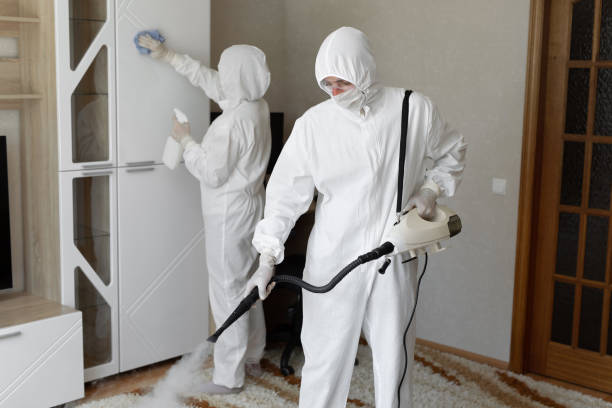 Best Mold Testing  in Morrisonvle, IL